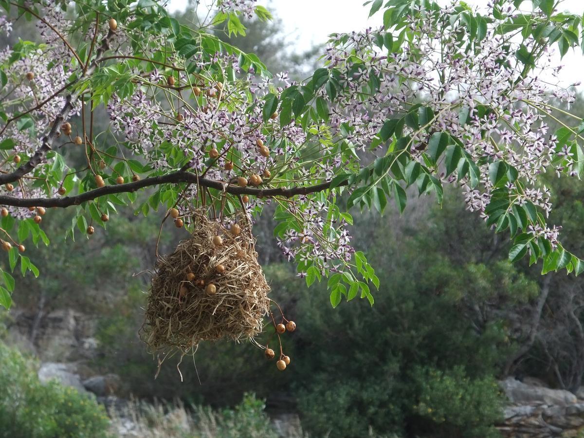 Makapa Lodge Κέιπ Τάουν Εξωτερικό φωτογραφία