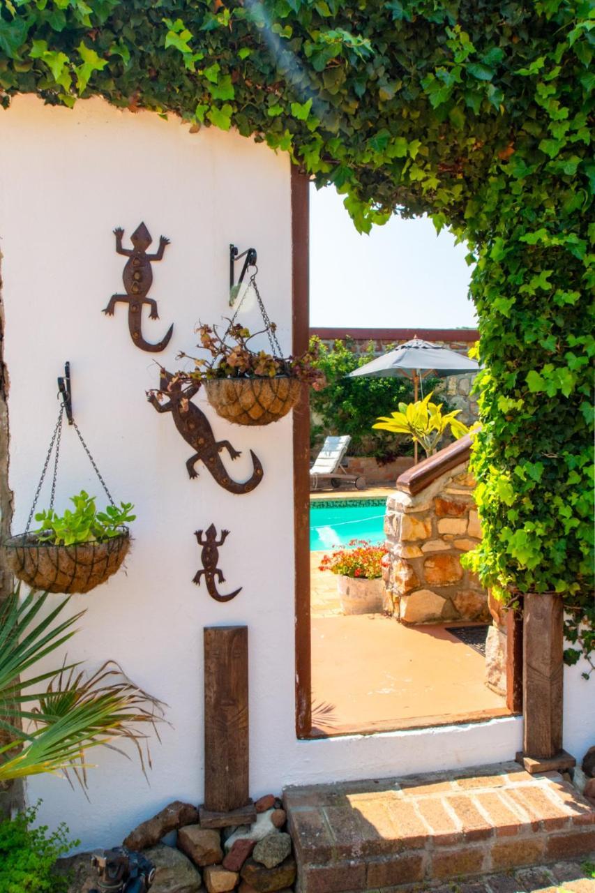 Makapa Lodge Κέιπ Τάουν Εξωτερικό φωτογραφία
