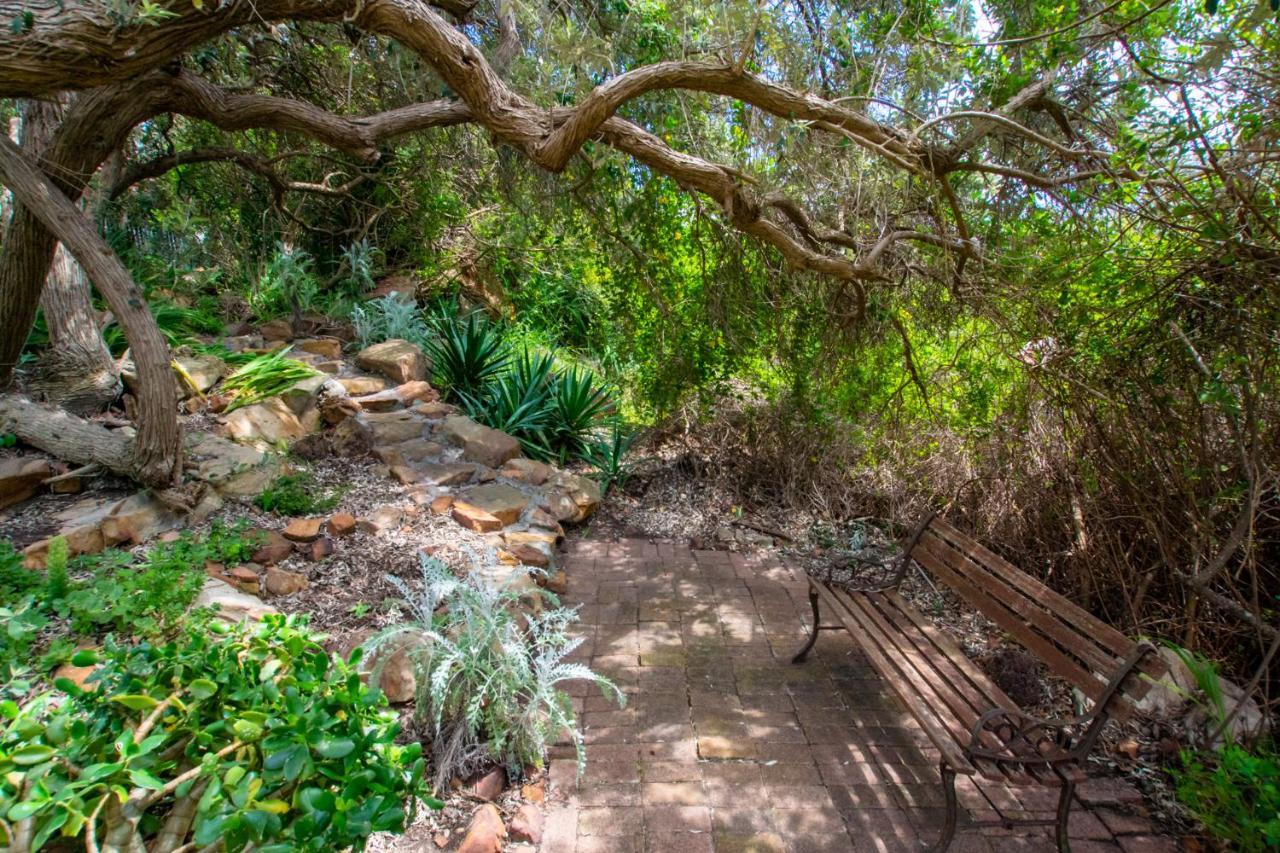 Makapa Lodge Κέιπ Τάουν Εξωτερικό φωτογραφία