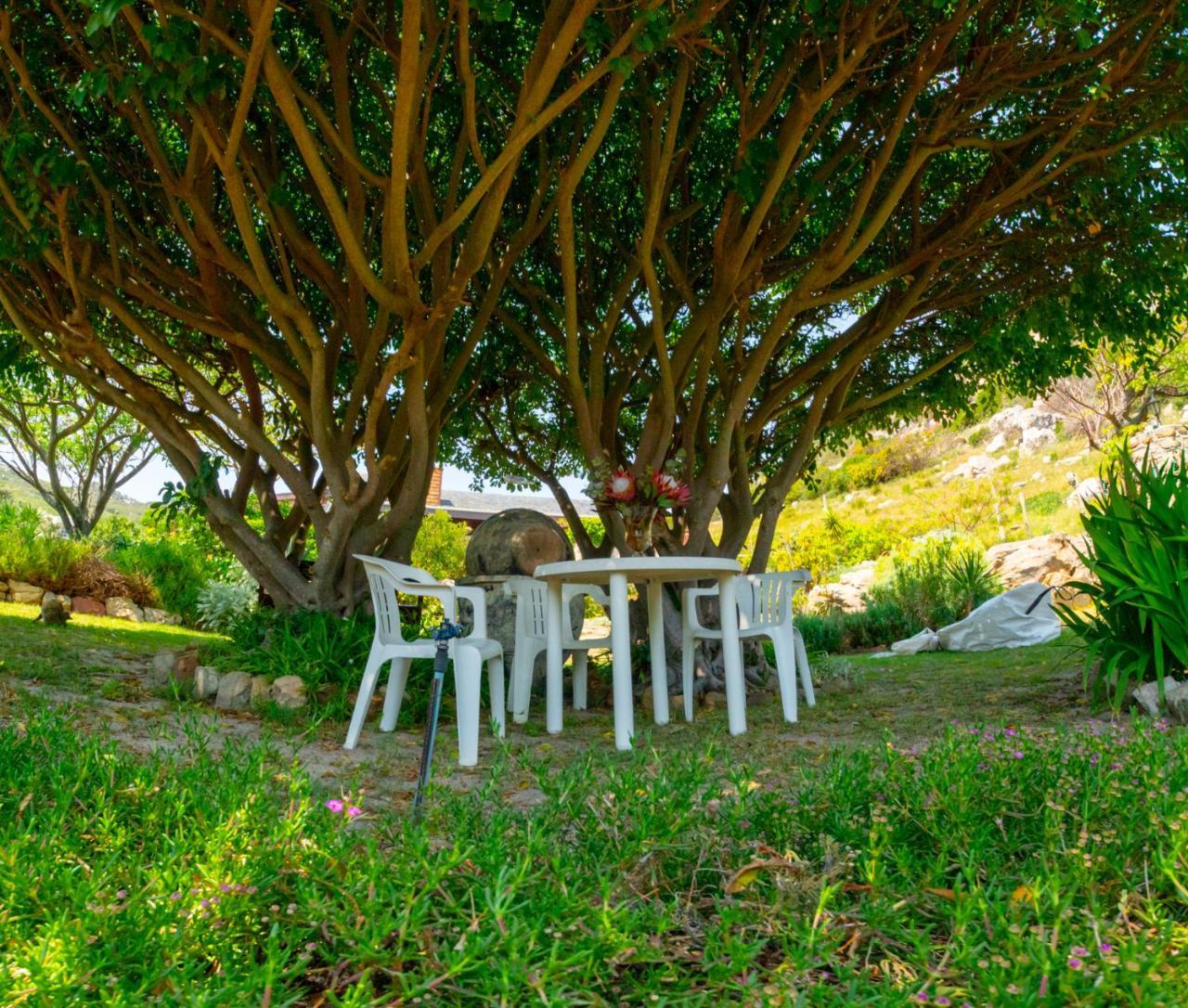 Makapa Lodge Κέιπ Τάουν Εξωτερικό φωτογραφία